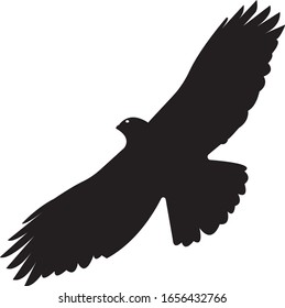 eagle silhouette on white background, vector illustration