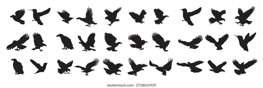 Silueta del águila sobre fondo blanco