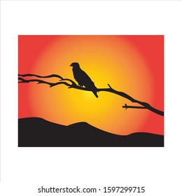 eagle silhouette perched on the tree against a background of the sunset.