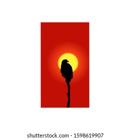 eagle silhouette perched sunset background 