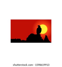 eagle silhouette perched sunset background 