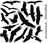 Eagle Silhouette Set Collection
