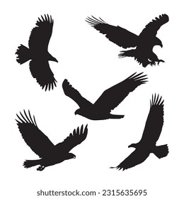 eagle silhouette set collection isolated black on white background vector illustration