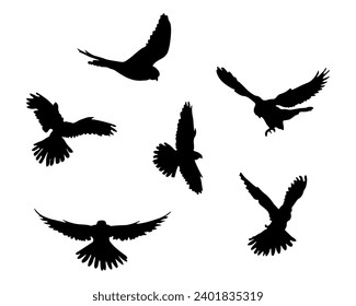 eagle silhouette set, fliying bird silhouette vector illustration.