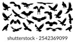 eagle silhouette set, flying eagle silhouette vector