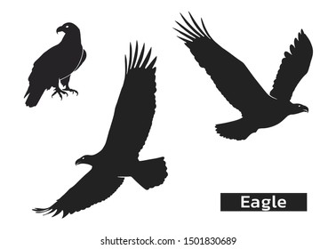 eagle silhouette set. zoo symbol of strength, highness, element of air. eagle symbol of usa. isolated vector images