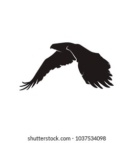 eagle silhouette vector