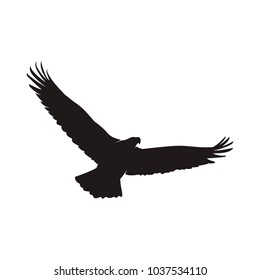 eagle silhouette vector