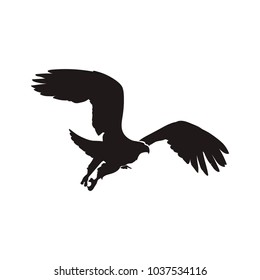 eagle silhouette vector