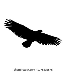 eagle silhouette vector