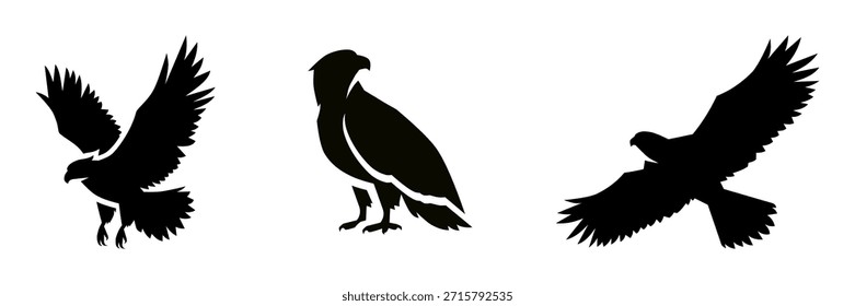 Fondo aislado de Colección de Vector de silueta de águila
