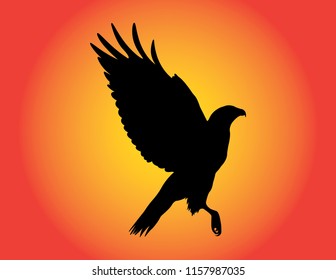 Eagle Silhouette Vector Design