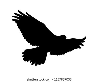 Eagle Silhouette Vector Design