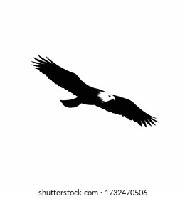 eagle silhouette vector, flying bird vector