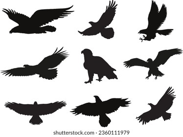 Eagle Silhouette Vector Graphic Pack