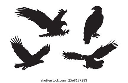 Eagle silhouette vector illustration. Flying eagle cartoon element. Suitable for bird drawing element.