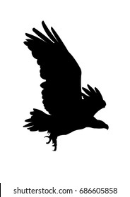 Eagle silhouette vector illustration isolated