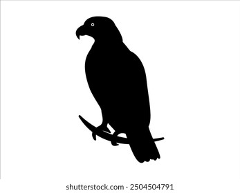 Eagle silhouette Vector illustration on a white background