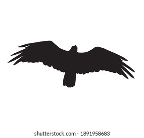 eagle silhouette, vector illustration, white background
