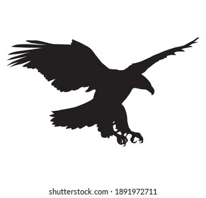 silueta de águila, ilustración vectorial, fondo blanco
