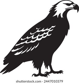 Eagle Silhouette Vector Illustration White Background