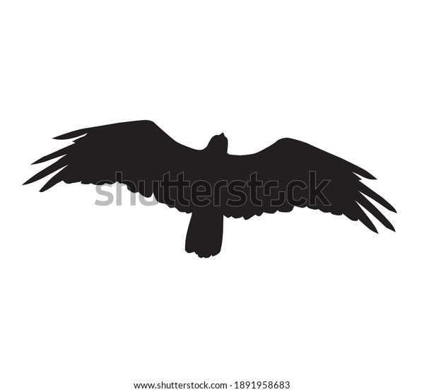 Eagle Silhouette Vector Illustration White Background Stock Vector ...