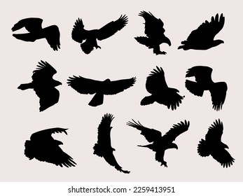 eagle silhouette vector illustration.eagle bird clipart collection