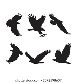 Eagle Silhouette Vector Eagle Outline Drawing Eagle Isolated Clip Art Design Illustration On White Background