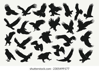 eagle silhouette vector set design