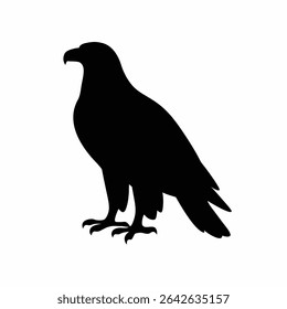 Eagle Silhouette Wildlife Powerful Bird