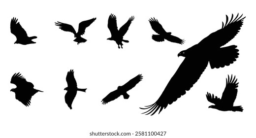 Eagle Silhouettes of Birds of Prey in Flight. Set of Eagle Symbols, Eagle vector, Eagle Icon.
