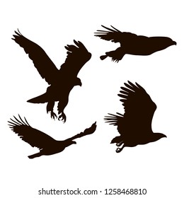 Eagle Silhouettes Isolated On White Stock Vector (Royalty Free ...