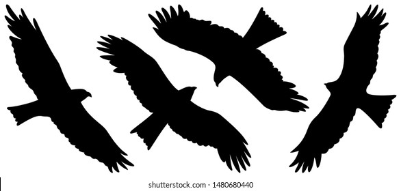 Eagle silhouettes isolated on white. Vector illustration