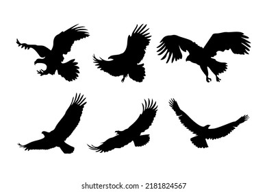 Eagle silhouettes, Isolated On White Background