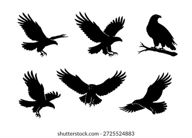 Adler-Silhouetten auf weißem, isoliertem Hintergrund