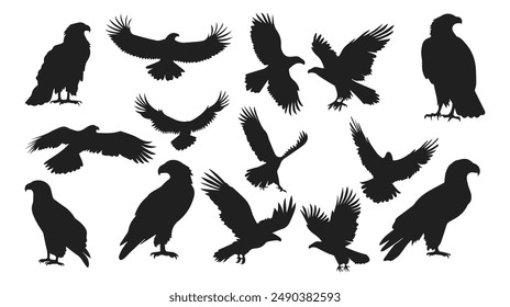 Eagle silhouettes set vector on a white background