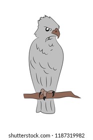 Eagle sits in color pattern, vector, white background