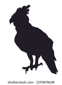 eagle sits drawing silhouette, vector, white background