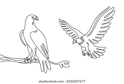 An eagle sitting on a branch and an eagle in flight. Two large birds of prey. Vector illustration. Images produced without the use of any form of AI software at any stage.