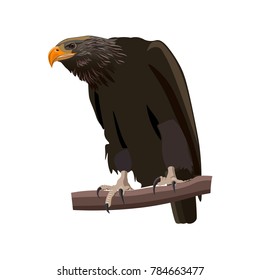 Eagle sitting on a tree branch. Vector illustration isolated oh the white background