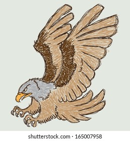 Eagle Sketch