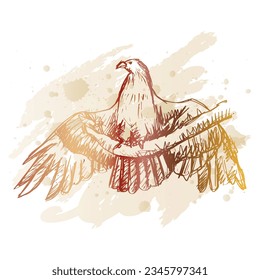  Eagle  sketch hand drawing  illustration  