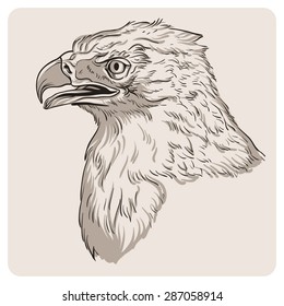 Eagle sketch. Vector illustration