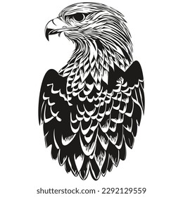 eagle sketchy, graphic portrait of a eagle on a white background, bird

