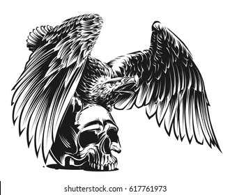 Eagle and Skull