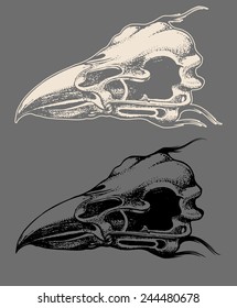 Eagle skull hand draw with invert color isolated