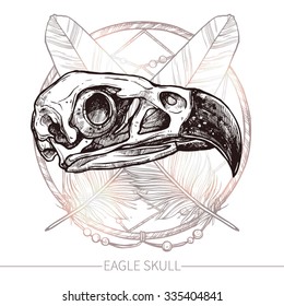 Eagle Skull. Hand Drawn Illustration