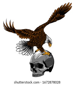 Eagle and Skull vector illustration design art