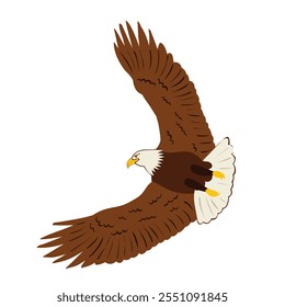 eagle soaring in flat style, vector