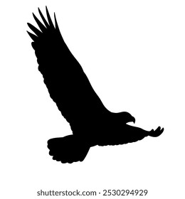 eagle soaring icon black silhouette vector